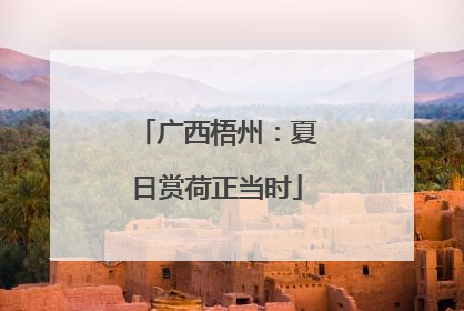 广西梧州：夏日赏荷正当时