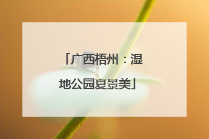 广西梧州：湿地公园夏景美