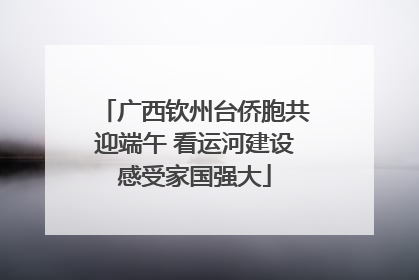 广西钦州台侨胞共迎端午 看运河建设感受家国强大
