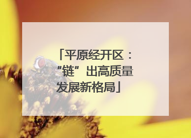 平原经开区：“链”出高质量发展新格局