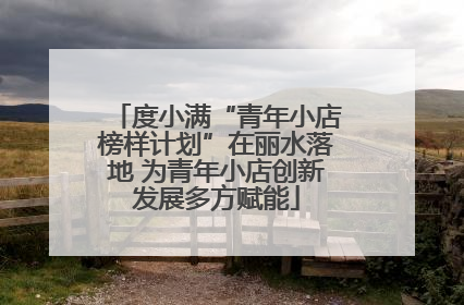 度小满“青年小店榜样计划”在丽水落地 为青年小店创新发展多方赋能