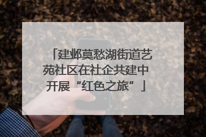 建邺莫愁湖街道艺苑社区在社企共建中开展“红色之旅”