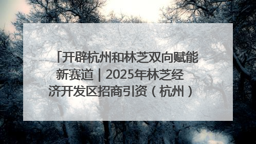 开辟杭州和林芝双向赋能新赛道｜2025年林芝经济开发区招商引资（杭州）推介展销活动在杭举办