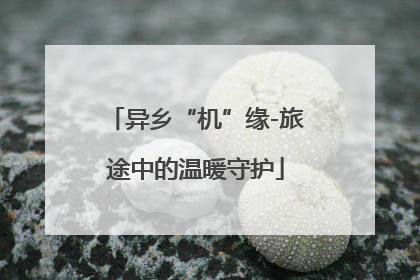 异乡“机”缘-旅途中的温暖守护