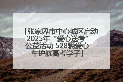张家界市中心城区启动2025年“爱心送考”公益活动 528辆爱心车护航高考学子
