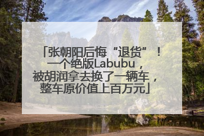 张朝阳后悔“退货”！一个绝版Labubu，被胡润拿去换了一辆车，整车原价值上百万元