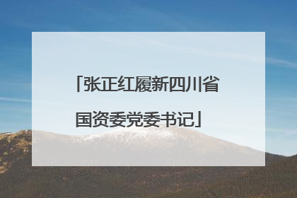 张正红履新四川省国资委党委书记