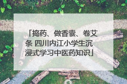 捣药、做香囊、卷艾条 四川内江小学生沉浸式学习中医药知识