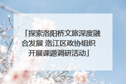 探索洛阳桥文旅深度融合发展 洛江区政协组织开展课题调研活动