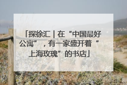 探徐汇｜在“中国最好公寓”，有一家盛开着“上海玫瑰”的书店