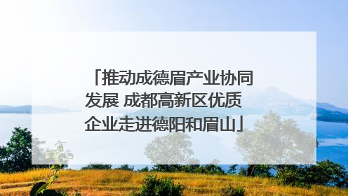 推动成德眉产业协同发展 成都高新区优质企业走进德阳和眉山
