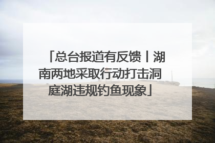 总台报道有反馈丨湖南两地采取行动打击洞庭湖违规钓鱼现象