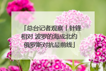 总台记者观察丨针锋相对 波罗的海成北约俄罗斯对抗最前线