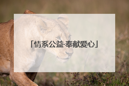 情系公益·奉献爱心