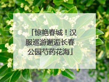 惊艳春城！汉服巡游邂逅长春公园芍药花海