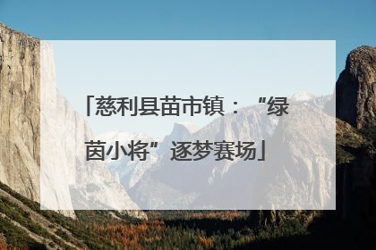 慈利县苗市镇：“绿茵小将”逐梦赛场