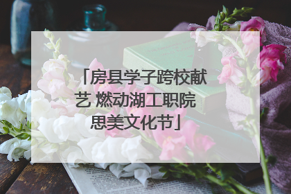 房县学子跨校献艺 燃动湖工职院思美文化节