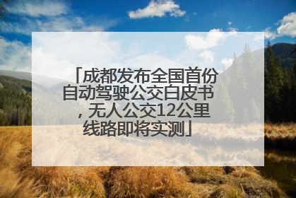 成都发布全国首份自动驾驶公交白皮书，无人公交12公里线路即将实测