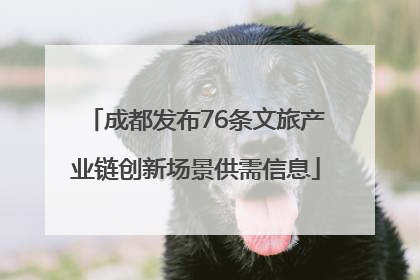 成都发布76条文旅产业链创新场景供需信息