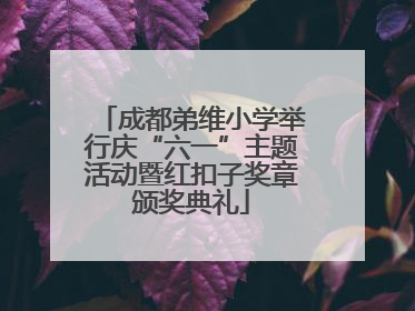 成都弟维小学举行庆“六一”主题活动暨红扣子奖章颁奖典礼
