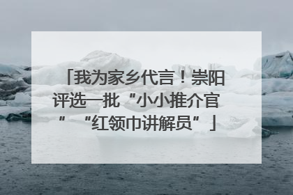 我为家乡代言！崇阳评选一批“小小推介官”“红领巾讲解员”