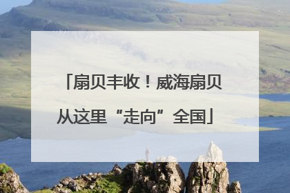 扇贝丰收！威海扇贝从这里“走向”全国