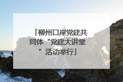 柳州口岸党建共同体“党建大讲堂”活动举行