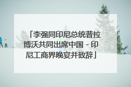 李强同印尼总统普拉博沃共同出席中国－印尼工商界晚宴并致辞