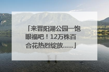 来晋阳湖公园一饱眼福吧！12万株百合花热烈绽放……