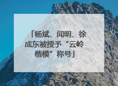 杨斌、闻明、徐成东被授予“云岭楷模”称号