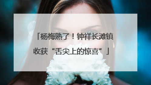 杨梅熟了！钟祥长滩镇收获“舌尖上的惊喜”