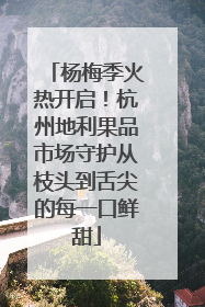 杨梅季火热开启！杭州地利果品市场守护从枝头到舌尖的每一口鲜甜