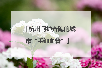 杭州呵护奔跑的城市“毛细血管”