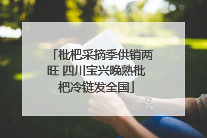 枇杷采摘季供销两旺 四川宝兴晚熟枇杷冷链发全国