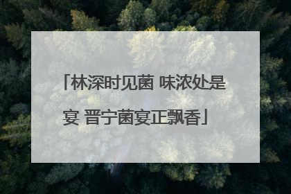 林深时见菌 味浓处是宴 晋宁菌宴正飘香