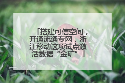搭建可信空间，开通流通专网，浙江移动这项试点激活数据“金矿”