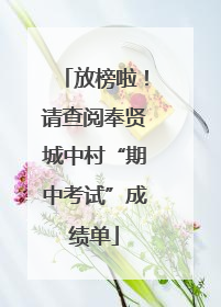 放榜啦！请查阅奉贤城中村“期中考试”成绩单