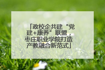 政校企共建“党建+康养”联盟，枣庄职业学院打造产教融合新范式