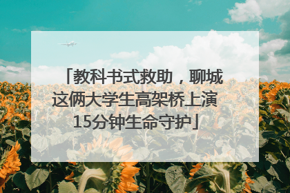 教科书式救助，聊城这俩大学生高架桥上演15分钟生命守护