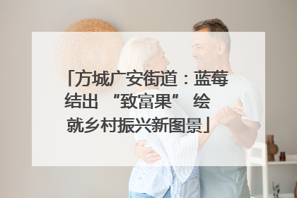 方城广安街道：蓝莓结出 “致富果” 绘就乡村振兴新图景