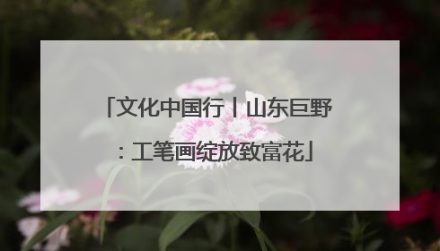 文化中国行丨山东巨野：工笔画绽放致富花