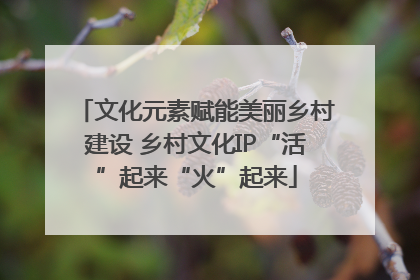 文化元素赋能美丽乡村建设 乡村文化IP“活”起来“火”起来