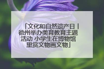 文化和自然遗产日丨德州举办美育教育主题活动 小学生在博物馆里赏文物画文物