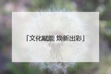 文化赋能 焕新出彩