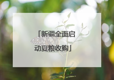 新疆全面启动夏粮收购