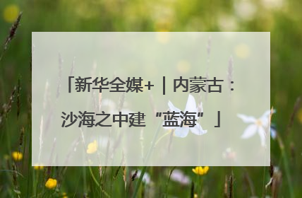 新华全媒+｜内蒙古：沙海之中建“蓝海”