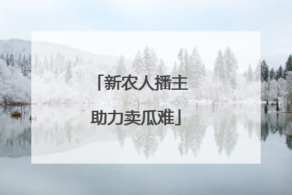 新农人播主 助力卖瓜难