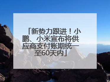 新势力跟进！小鹏、小米宣布将供应商支付账期统一至60天内