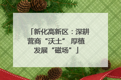 新化高新区：深耕营商“沃土” 厚植发展“磁场”