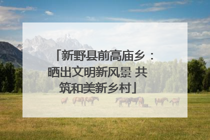 新野县前高庙乡：晒出文明新风景 共筑和美新乡村
